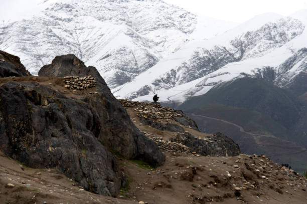 Mountain Trekking & Nature Exploration